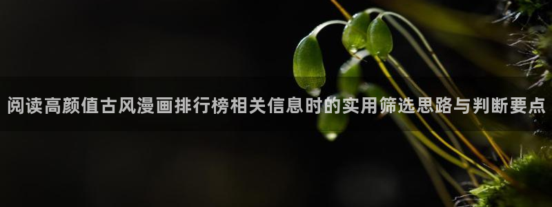 漫蛙漫画网页阅读